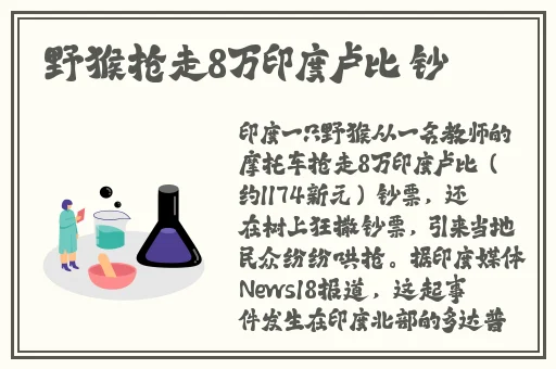 黑料网热点事件